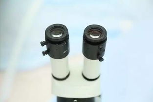 9月新疆，您不得不知的五大看點與保健器械建議